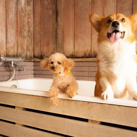 Izumigo Takayama Dog Paradise Hotel Dış mekan fotoğraf