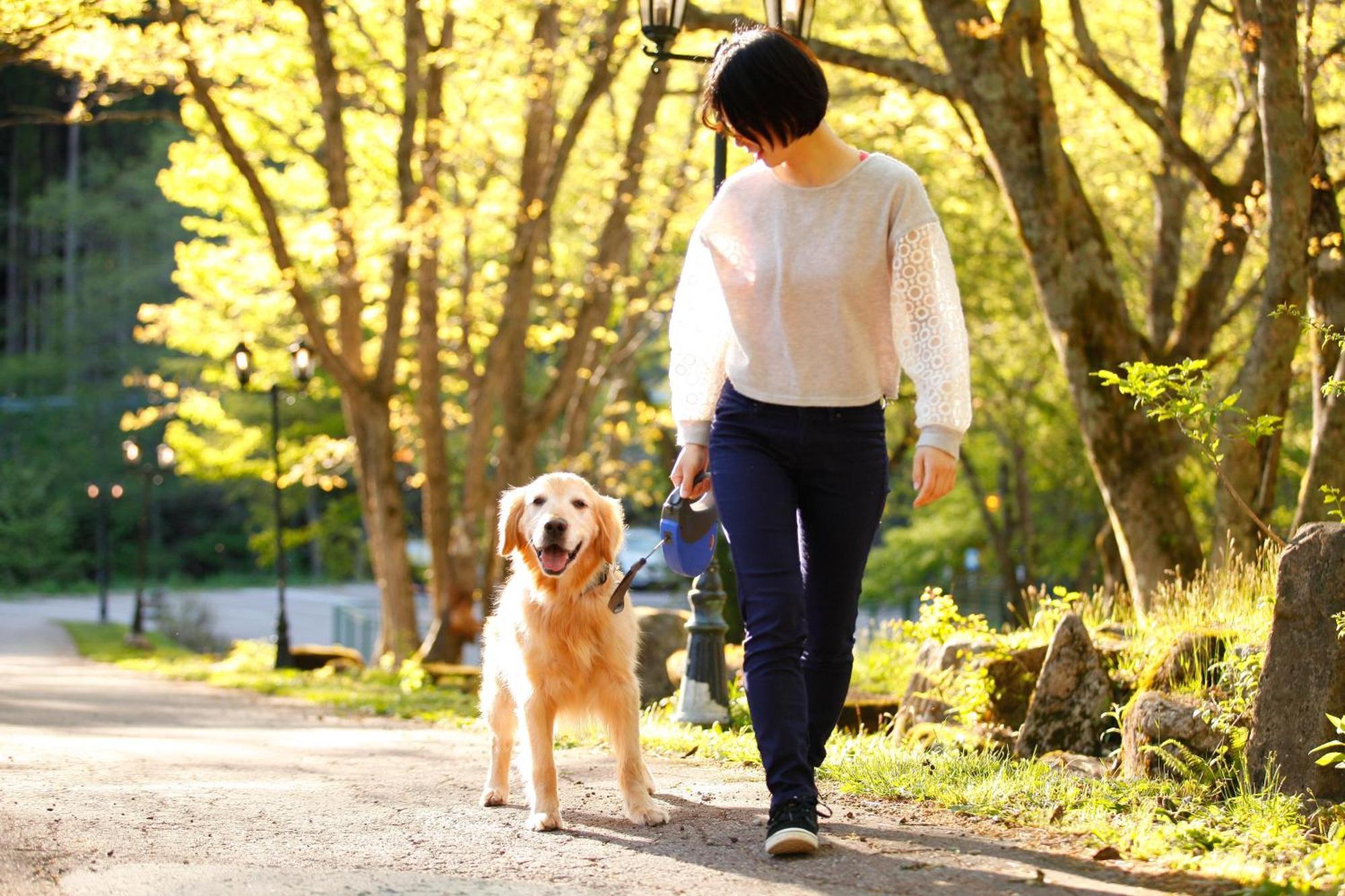 Izumigo Takayama Dog Paradise Hotel Dış mekan fotoğraf