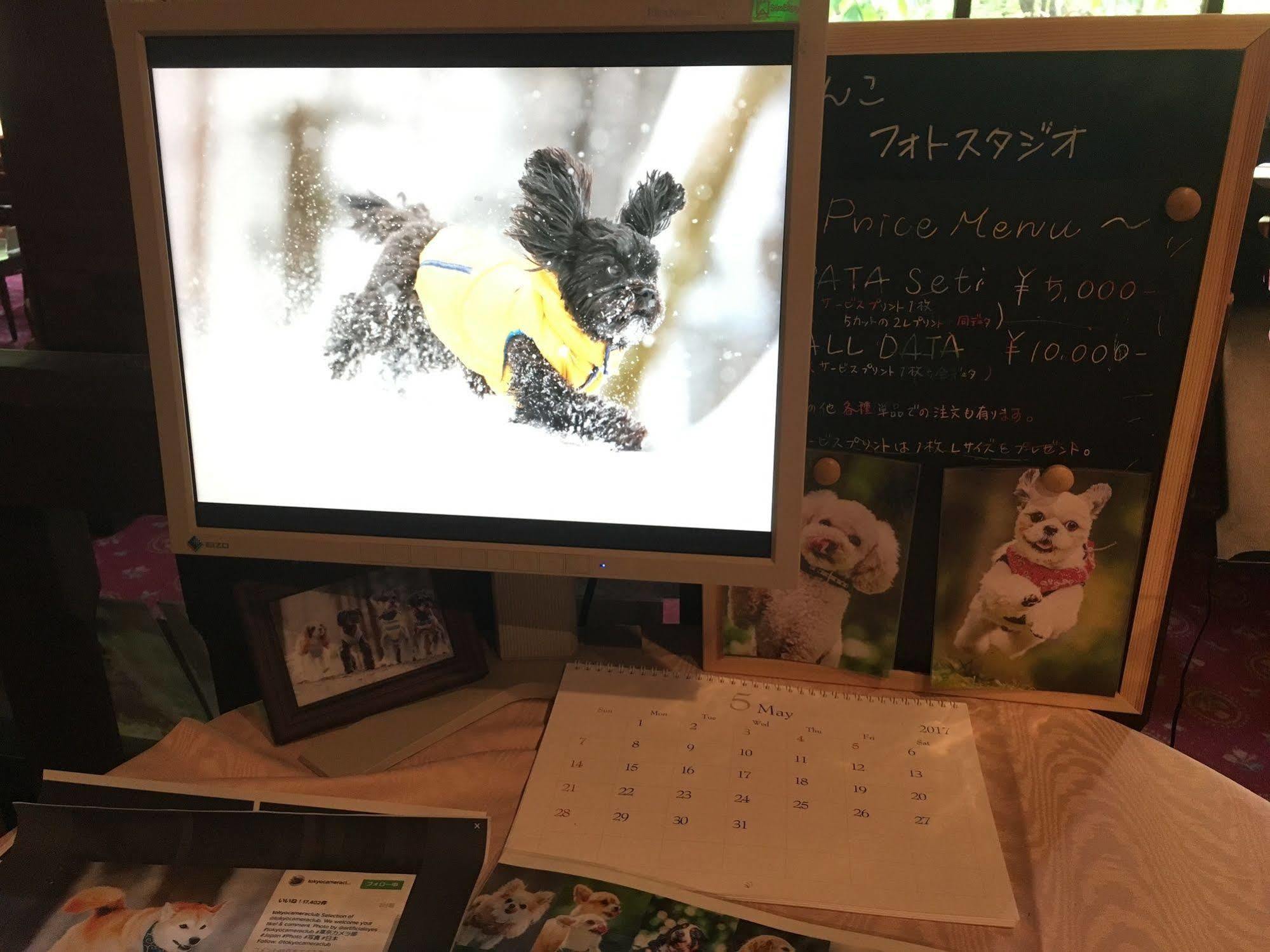 Izumigo Takayama Dog Paradise Hotel Dış mekan fotoğraf